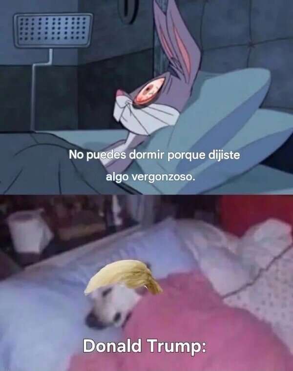 dormir,noche,decir,Trump