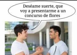 Enlace a Menudo capullo...