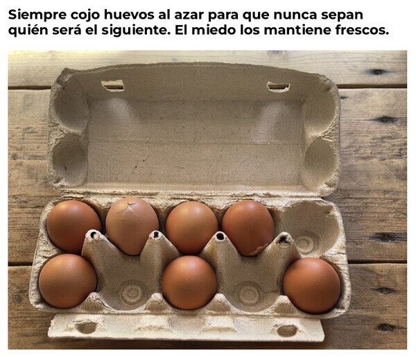 huevos,frescos,orden,sorprender