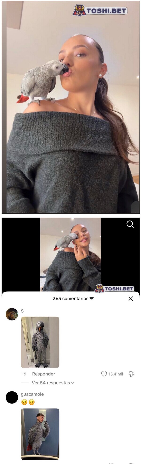 loro,p&aacute;jaro,chica,comentarios,tiktok