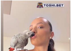Enlace a Los comentarios de TikTok son una cosa...