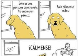 Enlace a Perros cada 10 minutos