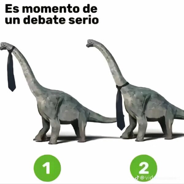 dinosaurio,diplodocus,corbata,debate