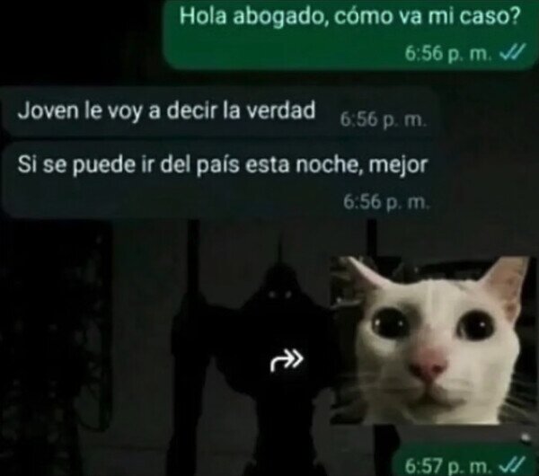 abogado,abandonar,pa&iacute;s