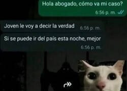 Enlace a La sinceridad de mi abogado