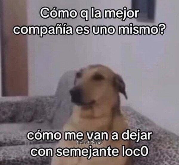 compa&ntilde;&iacute;a,solo,loco