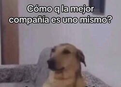 Enlace a No me dejeís sólo, por favor