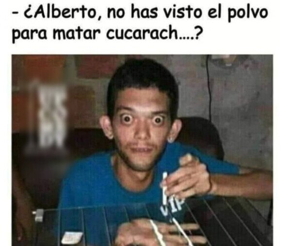 Otros - ¡No, Alberto, nooo!