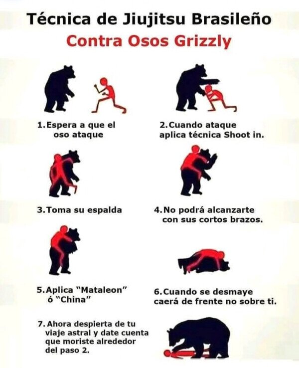 oso,pasos,t&eacute;cnica,grizzly