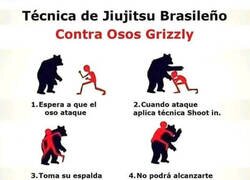 Enlace a Cómo pelear contra un Oso Grizzly