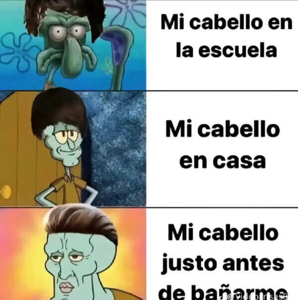 cabello,pelo