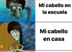 Enlace a Cabello troll