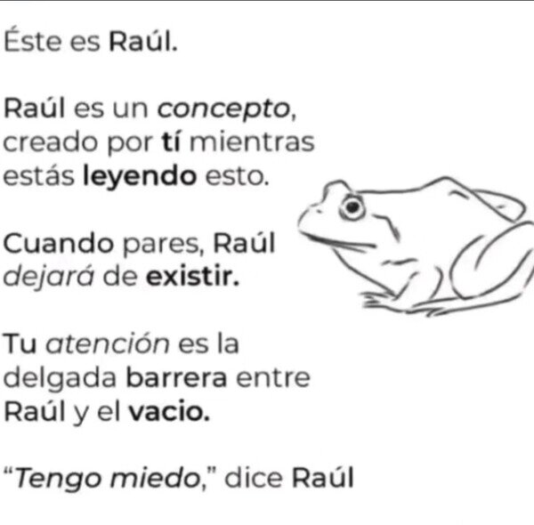 Ra&uacute;l,rana,sapo