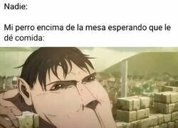 Enlace a Así acerca el morro