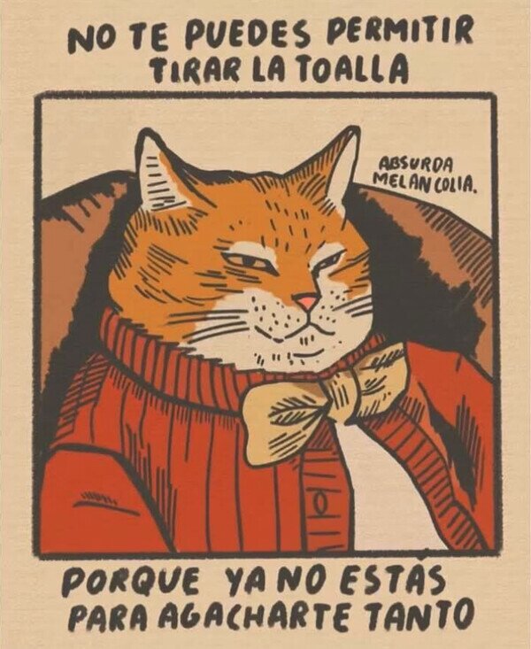 Meme_otros - No tires la toalla
