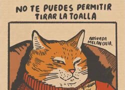 Enlace a No tires la toalla