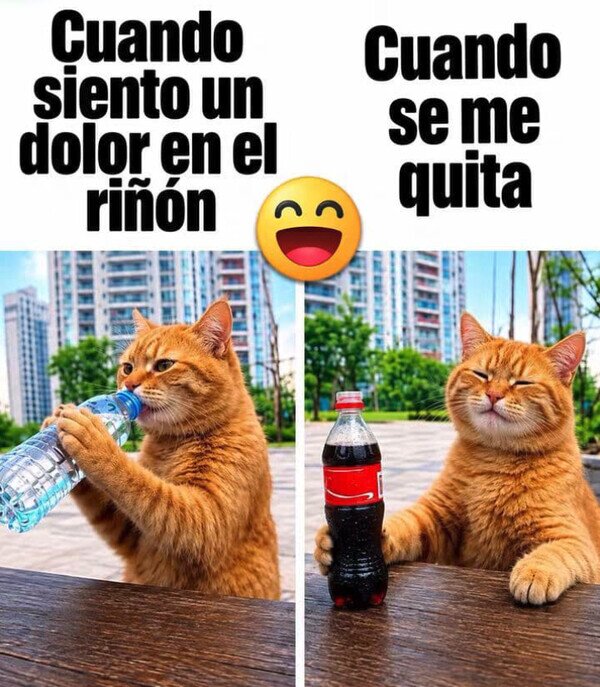 Meme_otros - Ya puedo seguir bebiendo cola