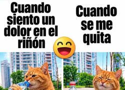 Enlace a Ya puedo seguir bebiendo cola