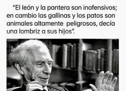 Enlace a Depende del punto de vista