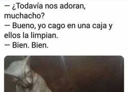 Enlace a Siempre han sido un ser superior