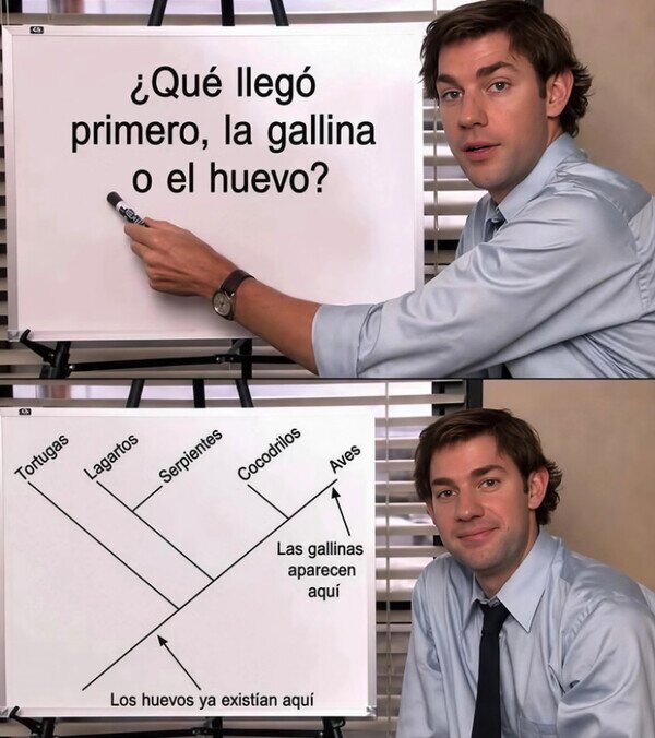huevo,gallina,antes