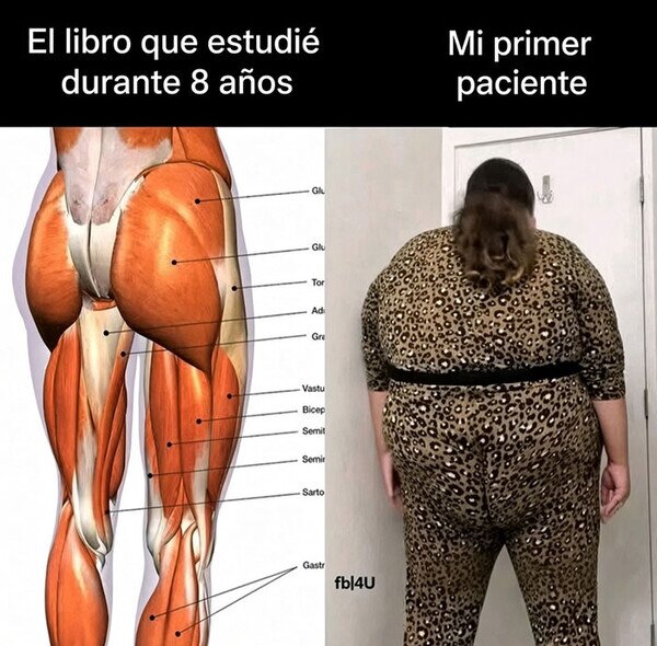cuerpo,estudiar,paciente
