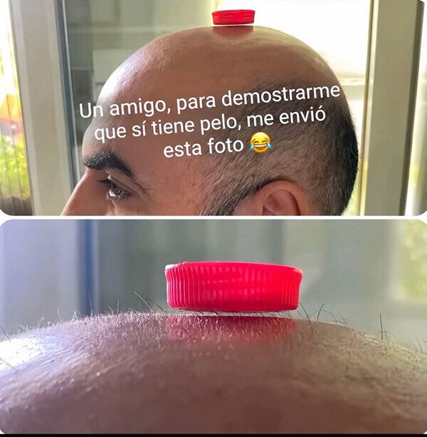 pelo,calvo,demostrar,tap&oacute;n