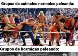 Enlace a Estrategas de combate