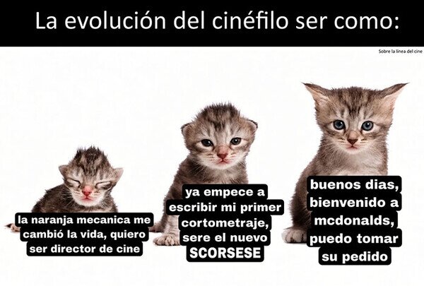 Meme_otros - La evolución de un cinéfilo