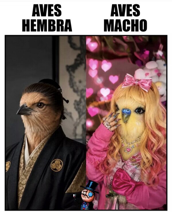 Meme_otros - Tienen una concepción de los géneros diferente