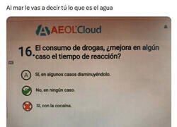 Enlace a Quieren la respuesta socialmente bien vista