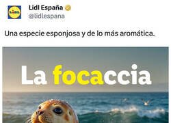 Enlace a El CM de Lidl sigue en su prime