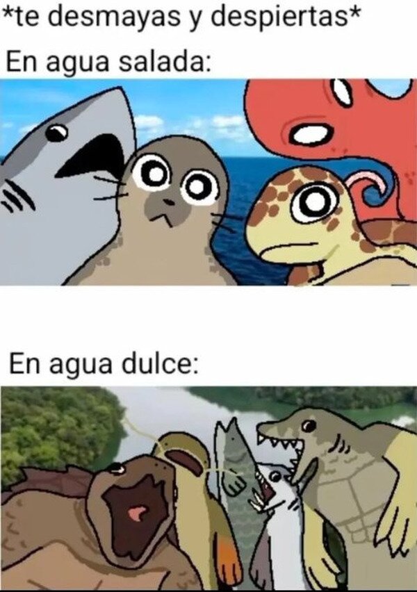 mar,r&iacute;o,animales,agua,dulce,salada