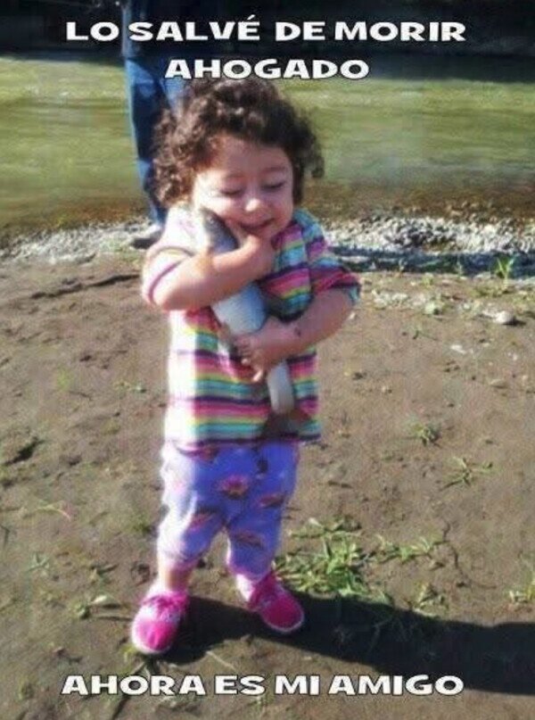 ni&ntilde;a,pez,ahogarse,agua,amigo