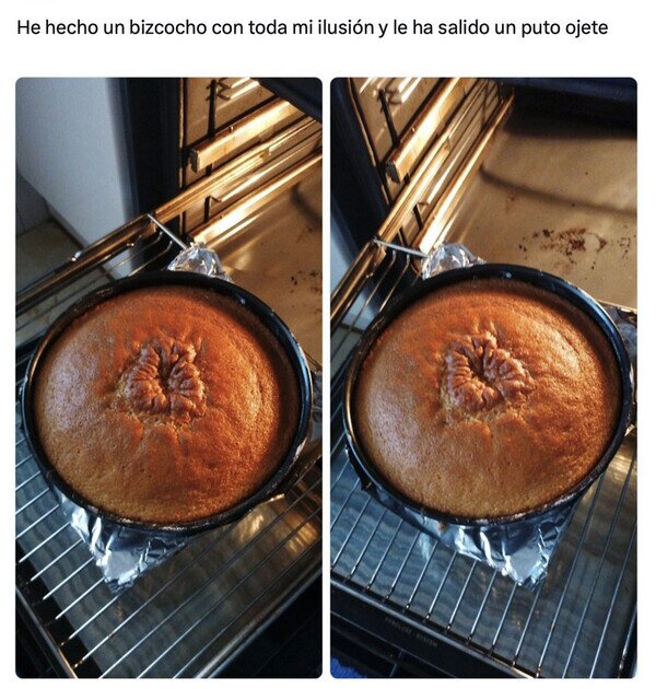 bizcocho,ojete,wtf