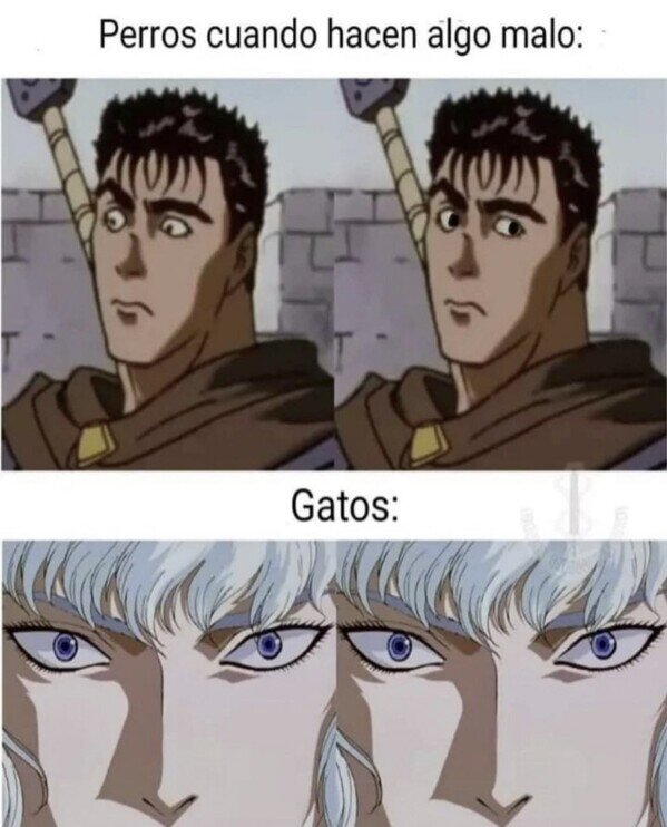 Meme_otros - A los gatos no les tiembla el pulso