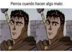 Enlace a A los gatos no les tiembla el pulso