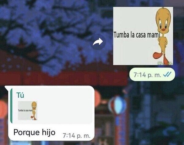 Meme_otros - Mi madre no pilla los stickers