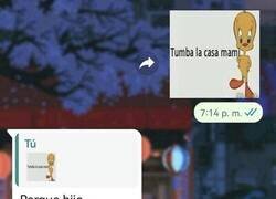 Enlace a Mi madre no pilla los stickers