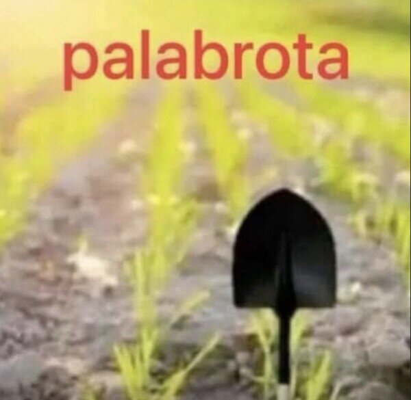 Meme_otros - La tontería del día