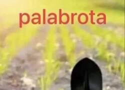 Enlace a La tontería del día
