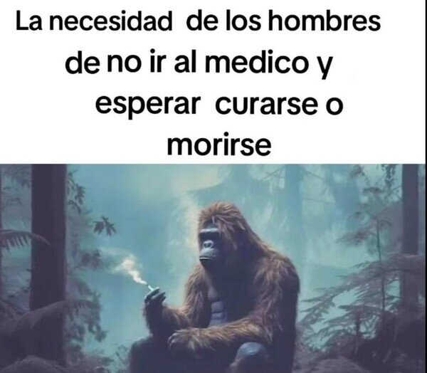 Meme_otros - Ir al médico es la ultimísima opción
