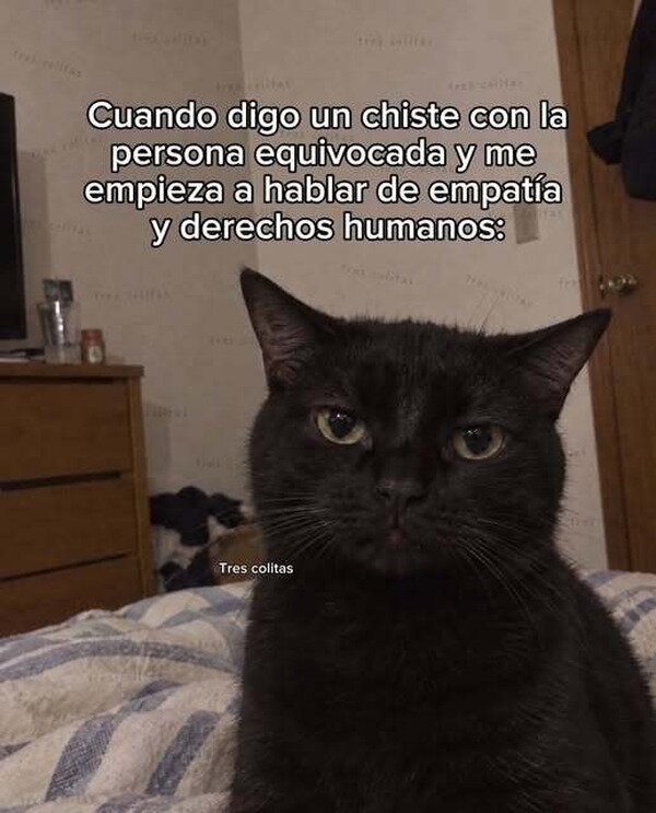 Meme_otros - Ahora me dan la chapa