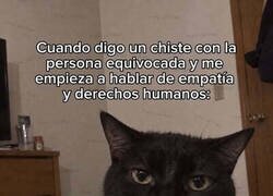 Enlace a Ahora me dan la chapa