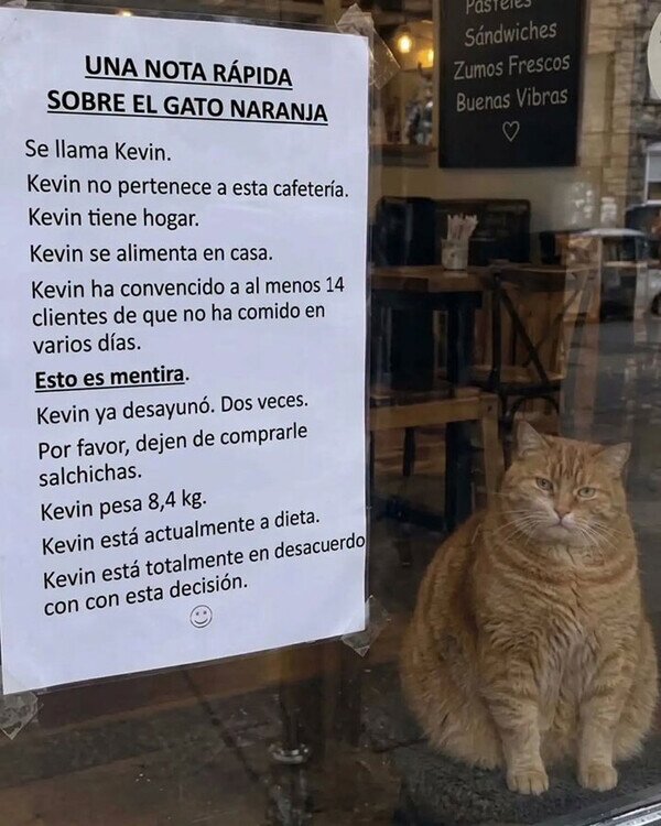 Meme_otros - Kevin es un caradura
