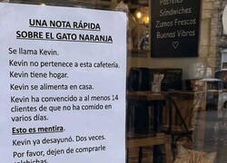 Enlace a Kevin es un caradura