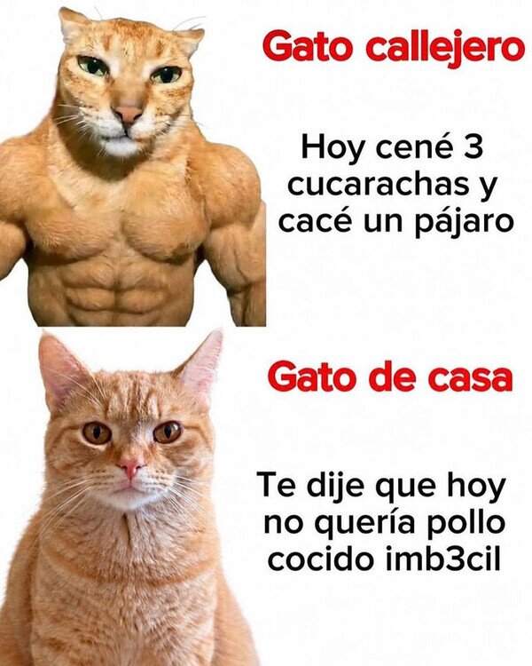Meme_otros - Se han aburguesado