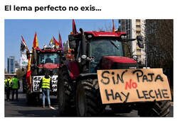 Enlace a No sé muy bien sobre qué están protestando...