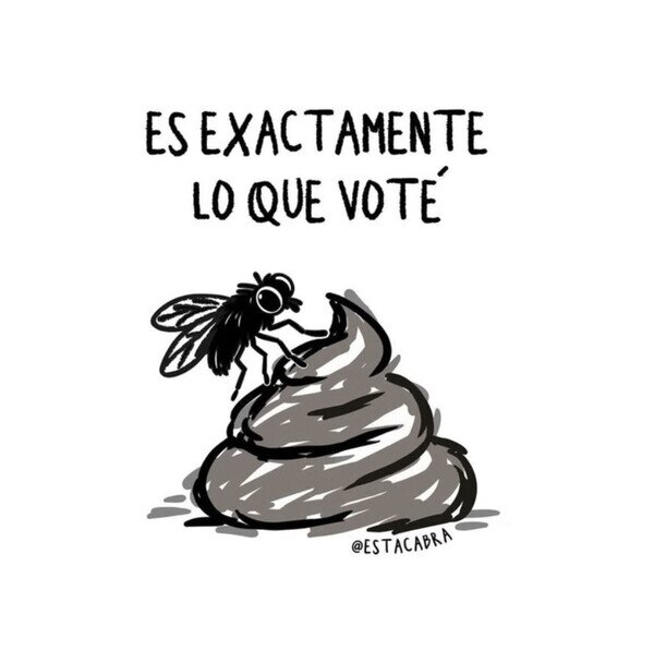 Otros - Votemos lo que votemos...