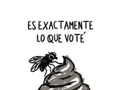 Enlace a Votemos lo que votemos...